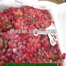Pampas ursprüngliche kernlose Trauben rot Globus Trauben mit hoher Qualität